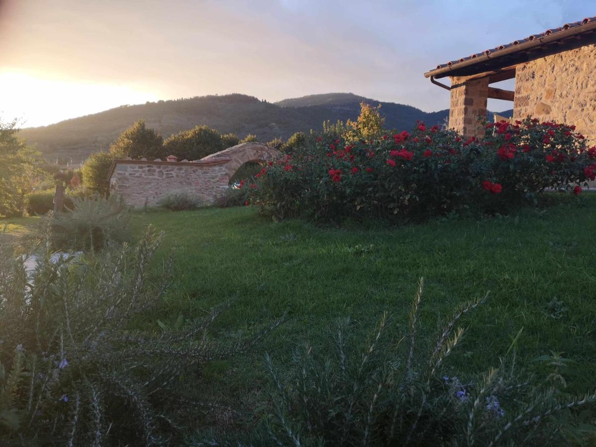 Alba Morus Sentiti A Casa Nel Cuo *