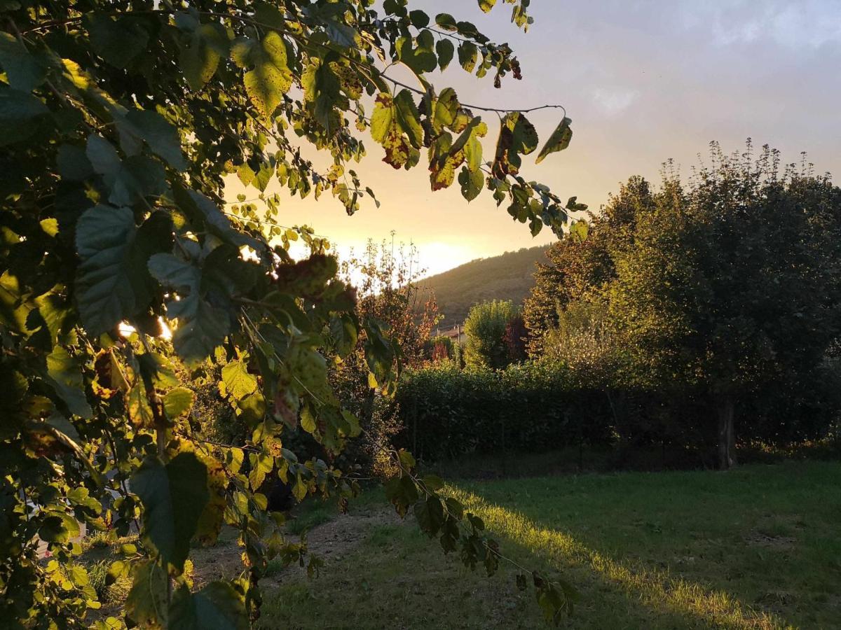 Alba Morus Sentiti A Casa Nel Cuo