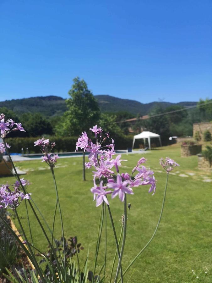 Alba Morus Sentiti A Casa Nel Cuo Bed & Breakfast