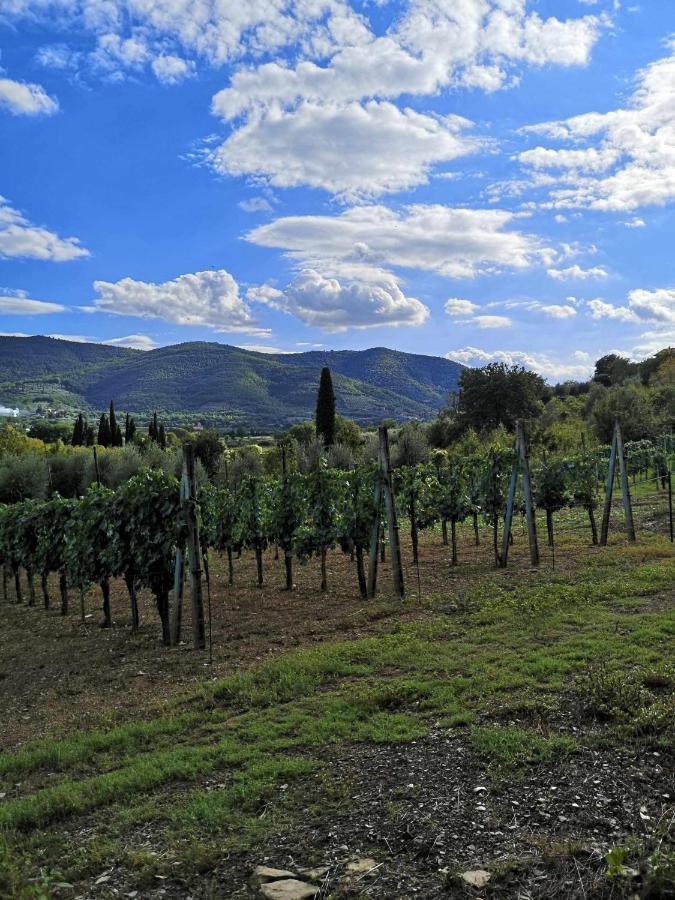 Bed & Breakfast Alba Morus Bed E Breakfast Sentiti A Casa Nel Cuore Della Toscana *