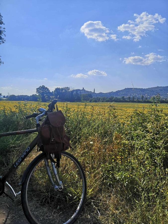 Alba Morus Bed E Breakfast Sentiti A Casa Nel Cuore Della Toscana *
