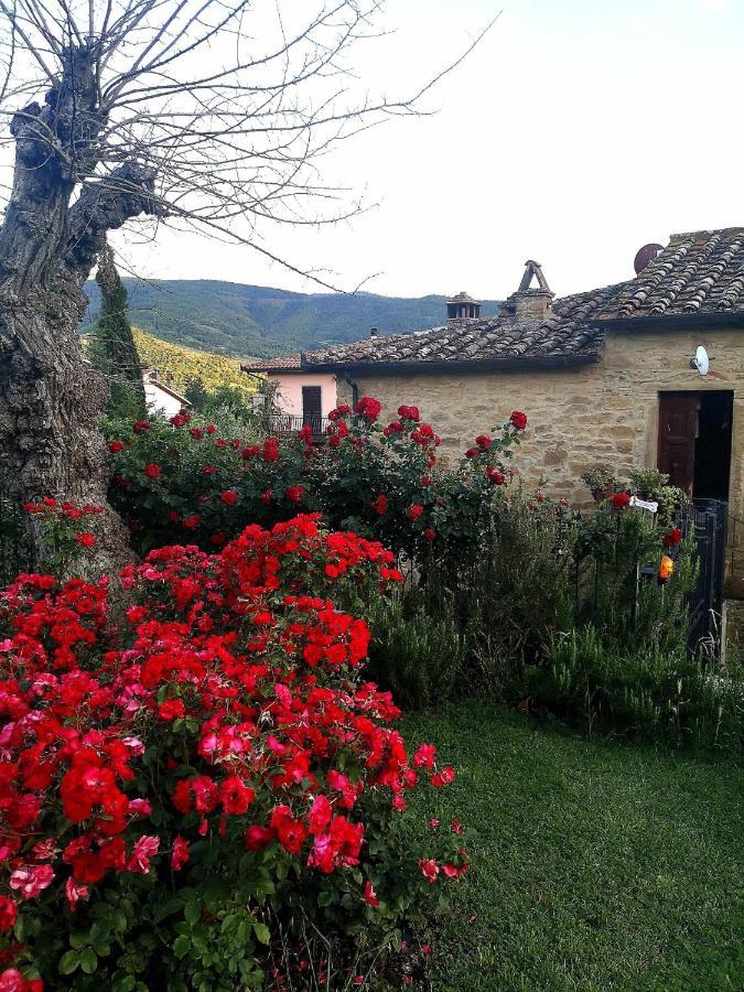 Alba Morus Sentiti A Casa Nel Cuo *