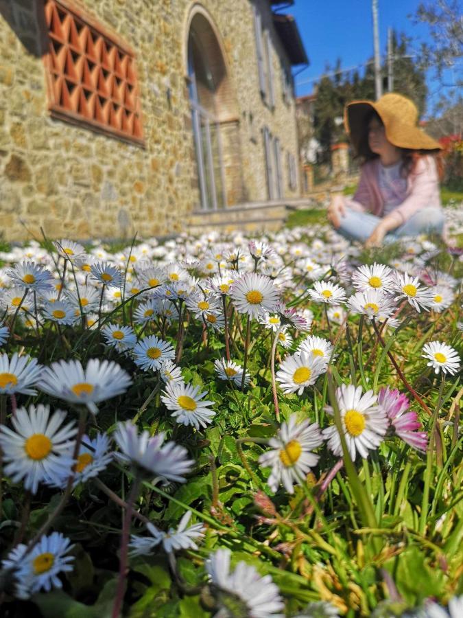 Alba Morus Bed E Breakfast Sentiti A Casa Nel Cuore Della Toscana Bed & Breakfast *